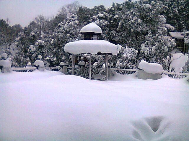 Hotel Dalhousie Heights Luaran gambar